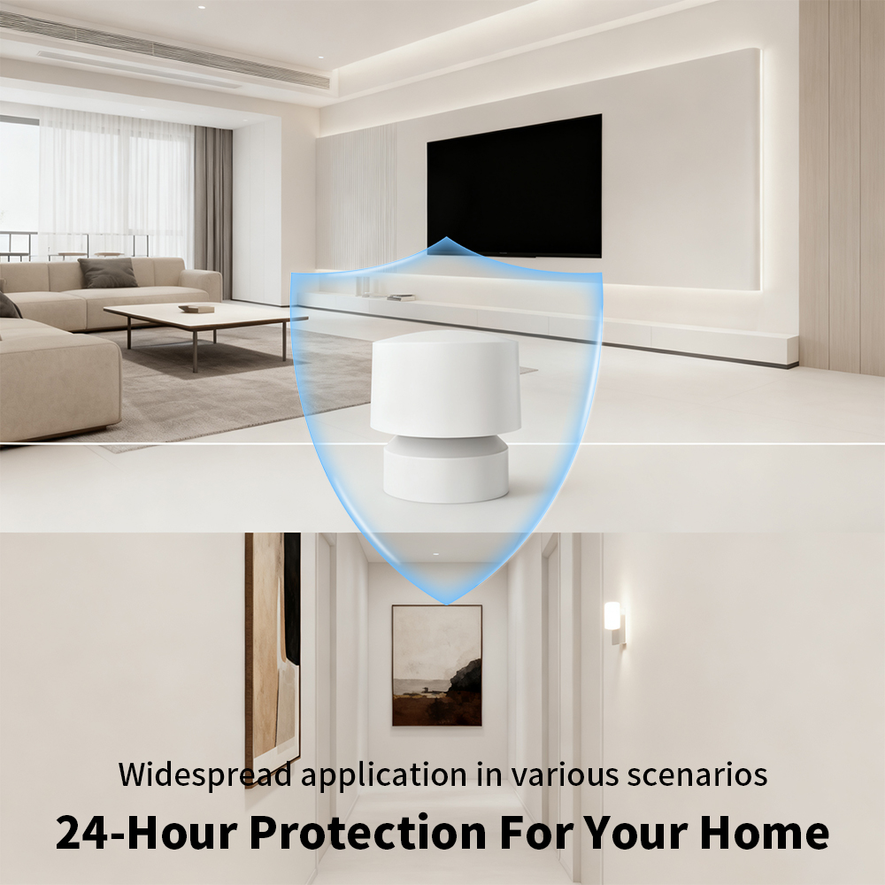 Zigbee or WiFi Smart Human Pre - Pir Motion Sensor recension och pris